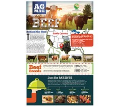 Beef Ag Mag